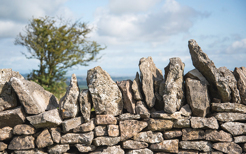 06 June Mendip Drystone Wall By Steve Hartley