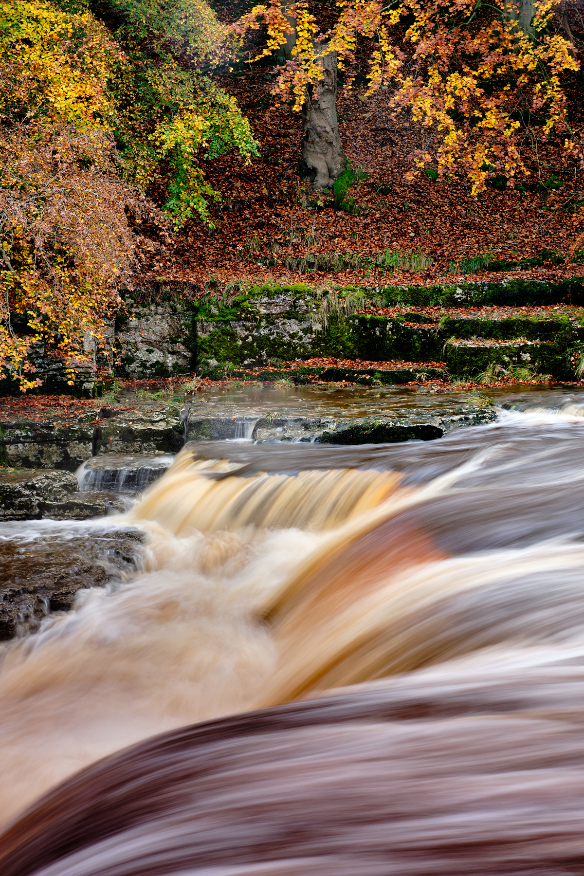 Maelstrom In Autumn By Trevor Burton