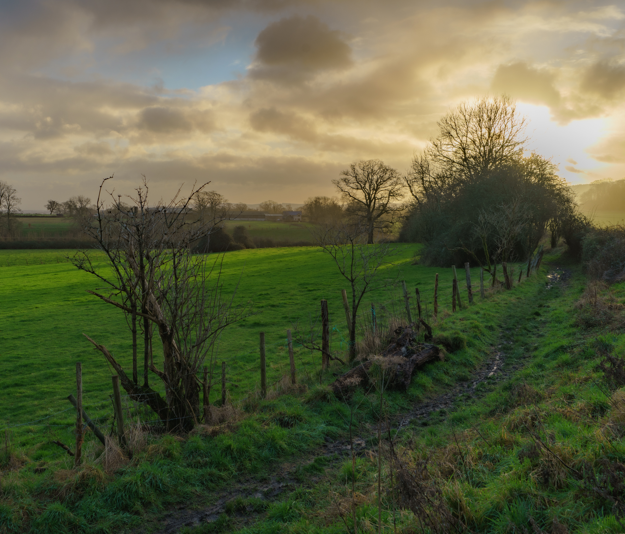 51N 1W, Hampshire by Robin Taylor Hunt