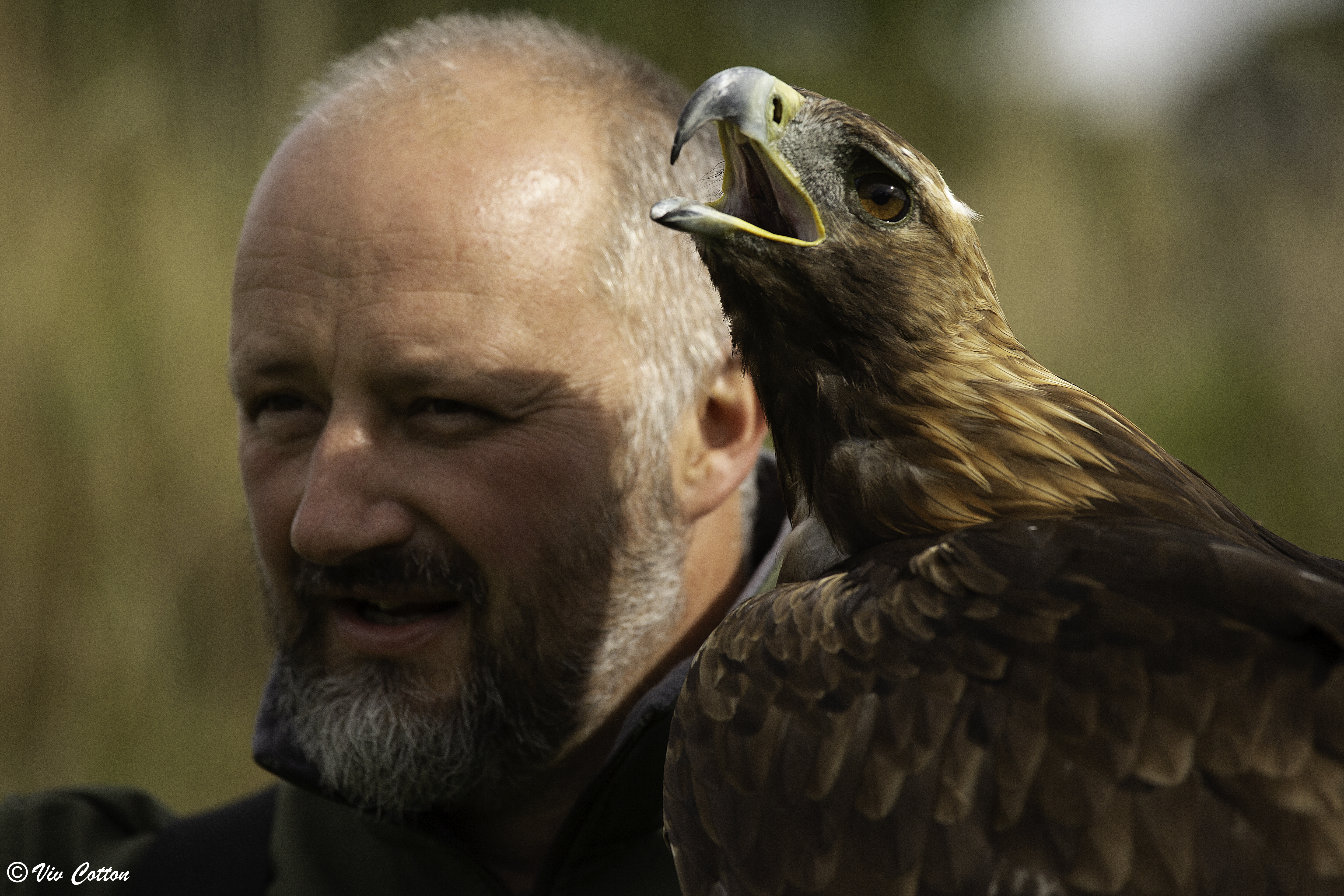 Viv Cotton Rob And Diesel