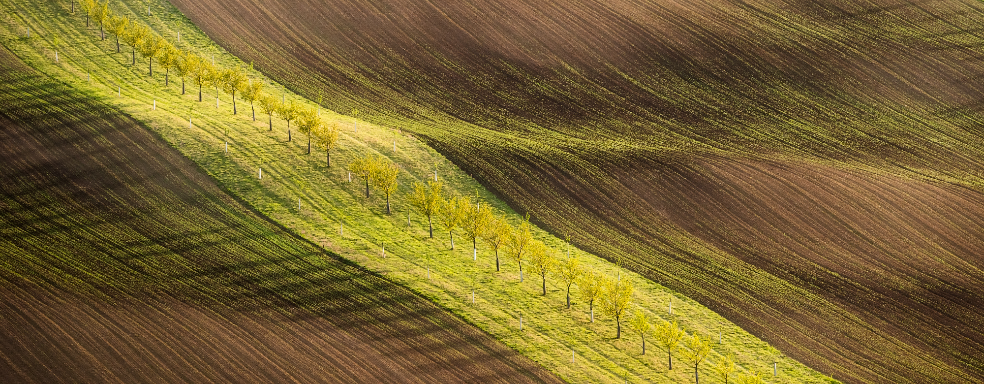 South Moravia