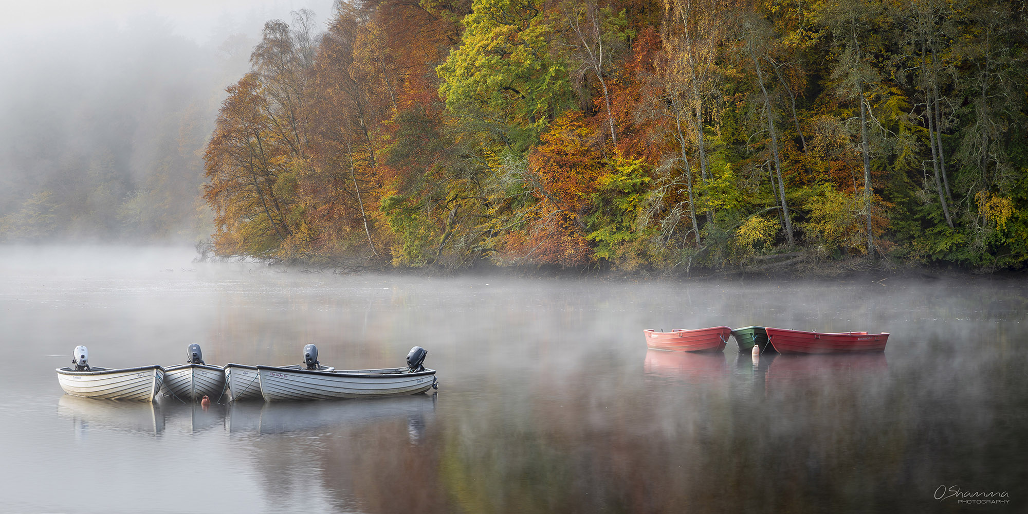 By Samantha Dearlove