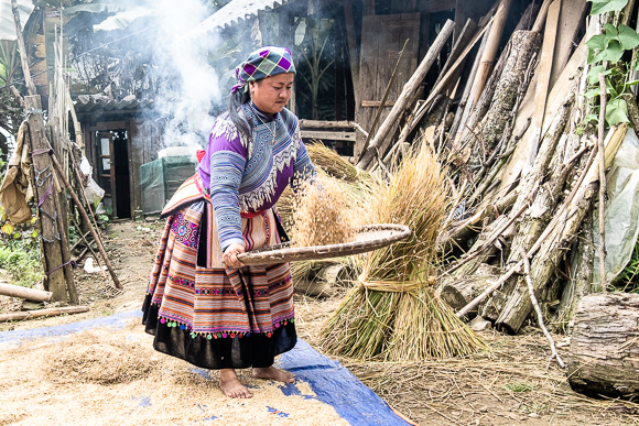 Separating The Rice North Vietnam (1 Of 1)