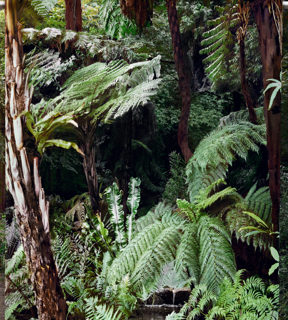 Noemie Goudal Gallery 5