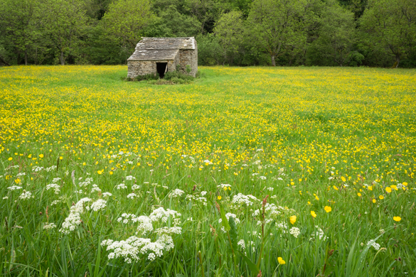 Swaledale Main Website Image 585X390