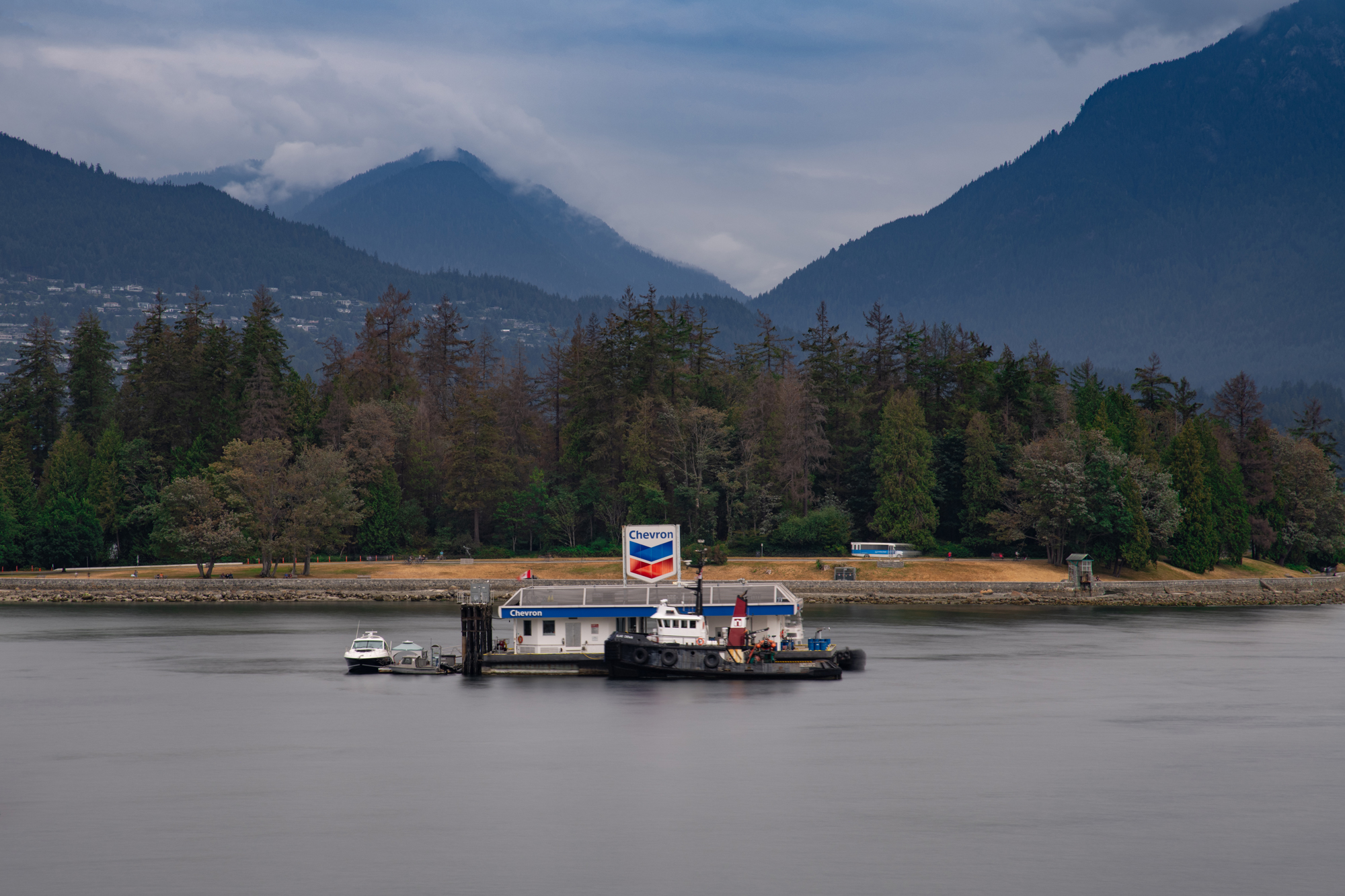 5522932 Aya Okawa Oil On Water