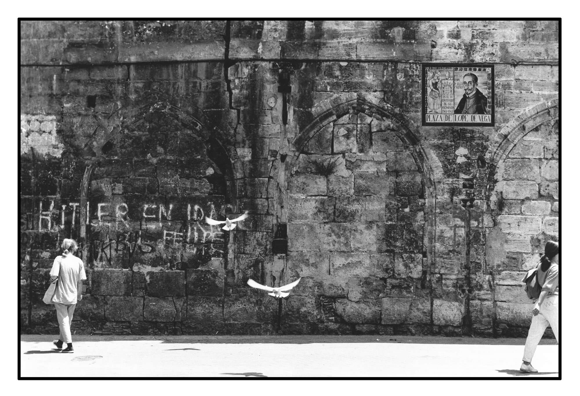 'Doves Of Peace' By Clive Heritage Tilley ARPS