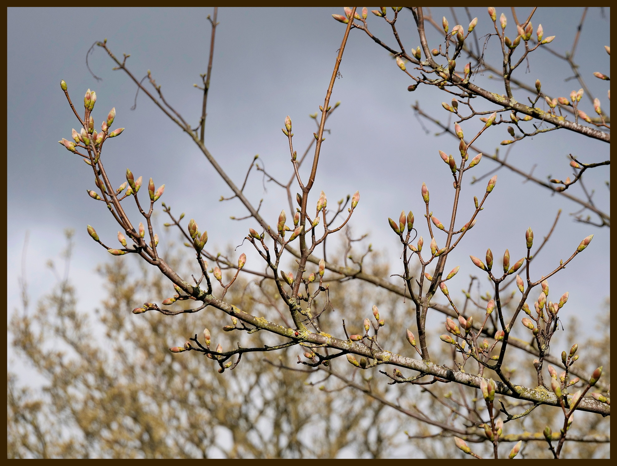 2022 03 31 08 32 44 1035650