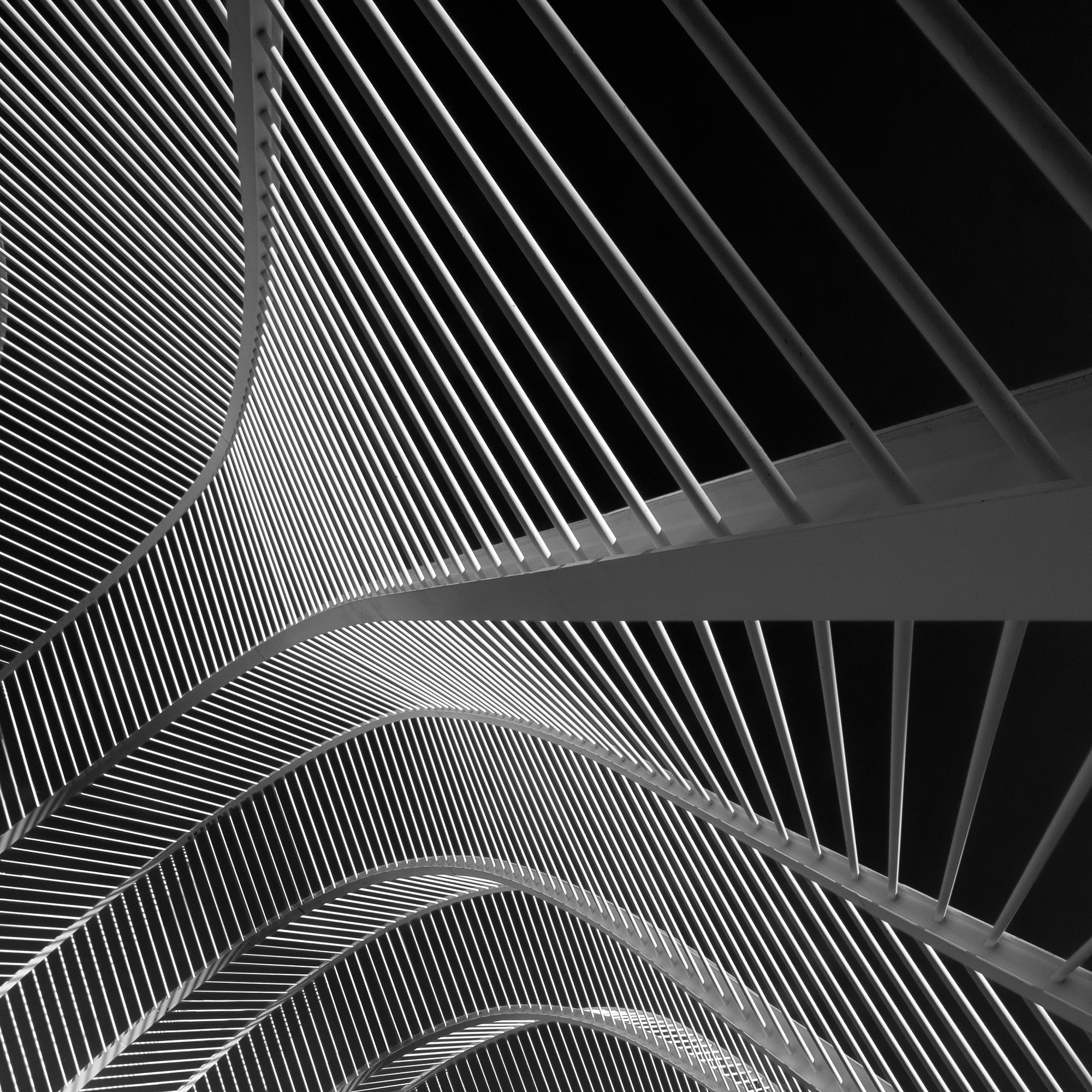 05 Umbracle By Mark Reeves ARPS