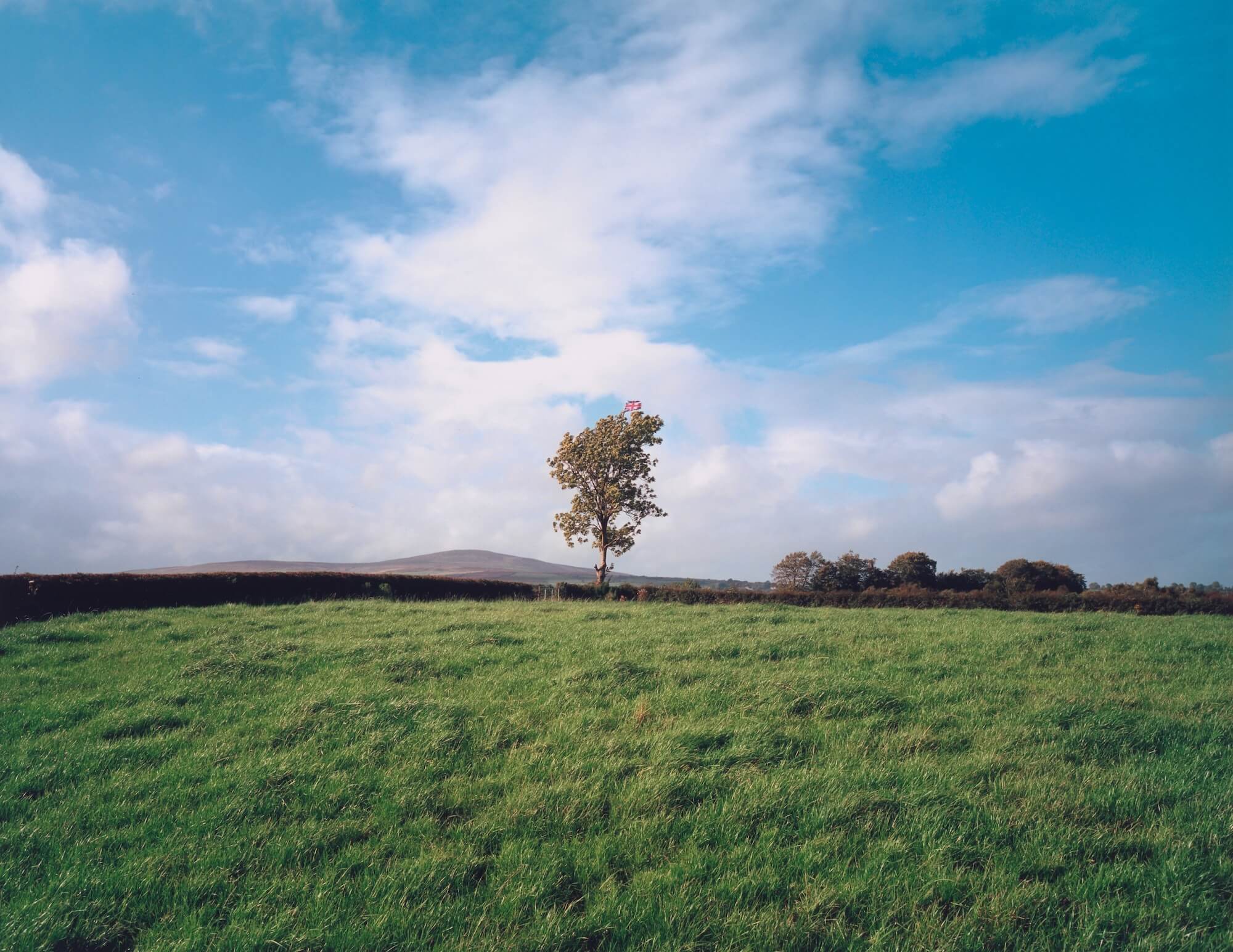 08 Paul Graham, Union Jack Flag In Tree, Country Tyrone 1985, Tate Presented By Tate Members 2007