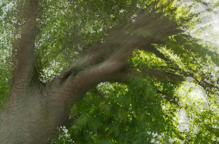 Ton Van Der Laan Creative In Camera 02