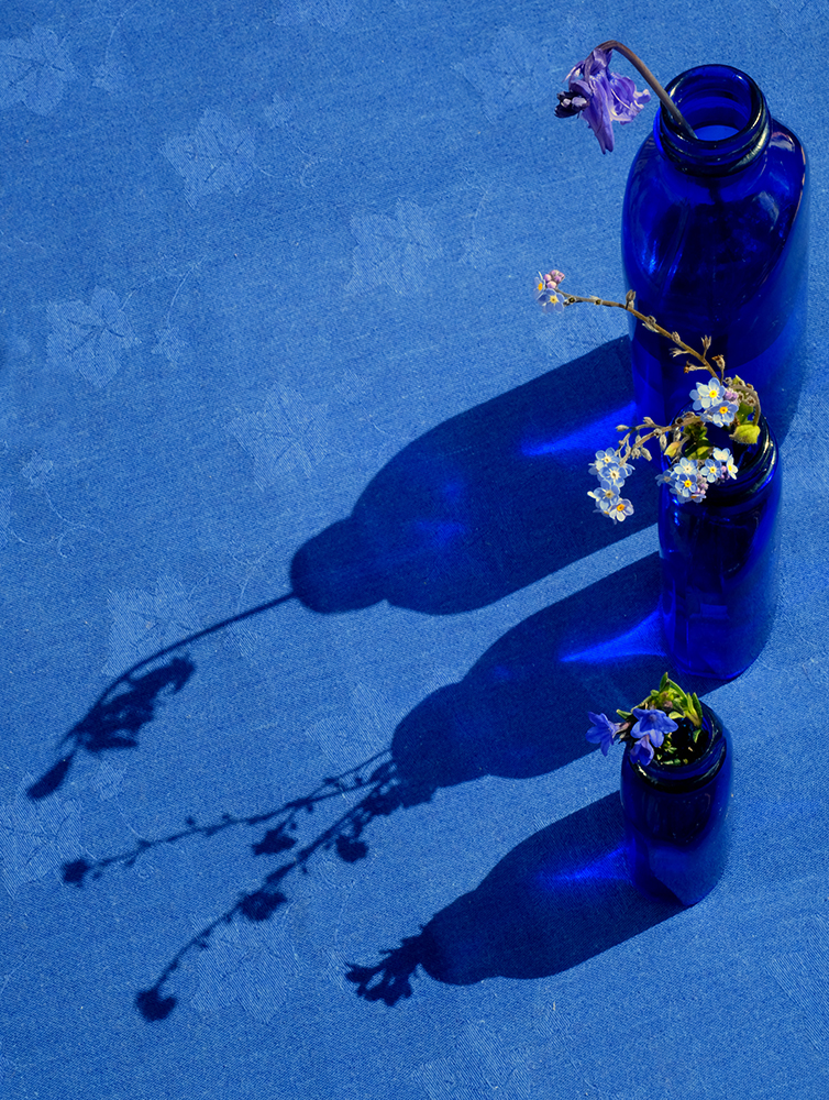 Lockdown Blues Sue Searle