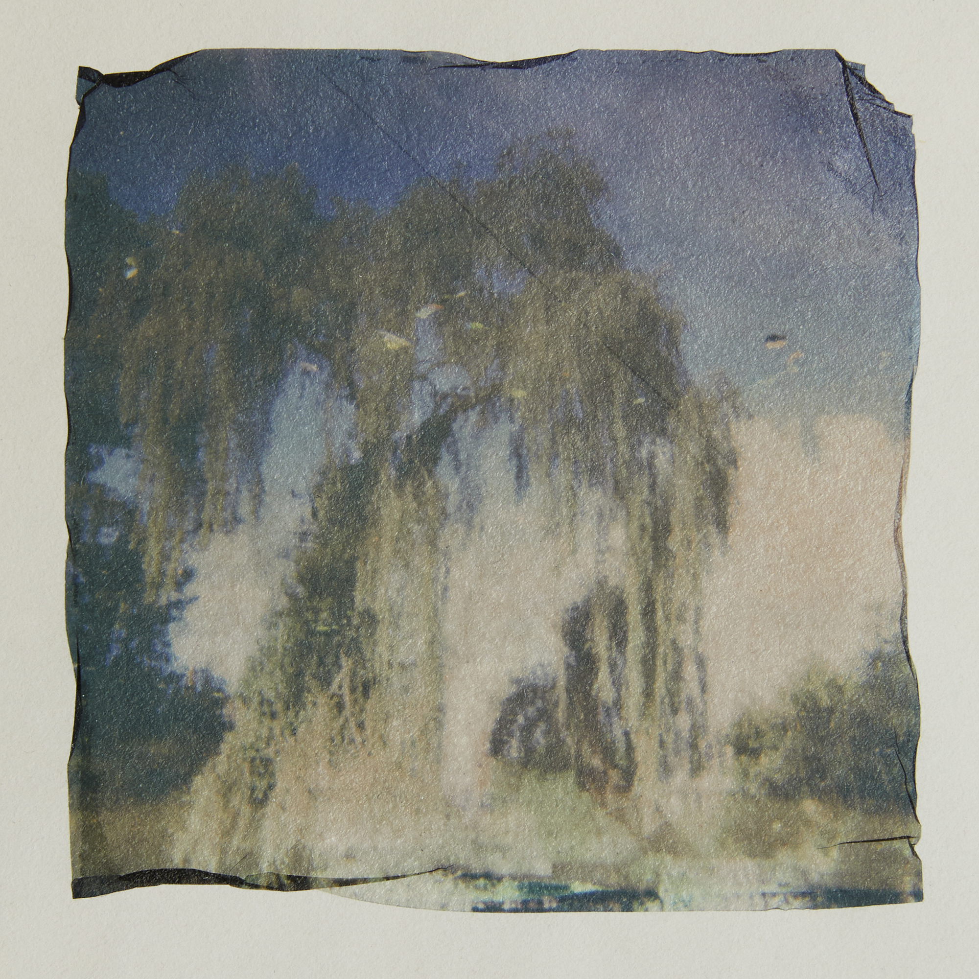 5572267 Sarah Hogan Shoganrpsnature2