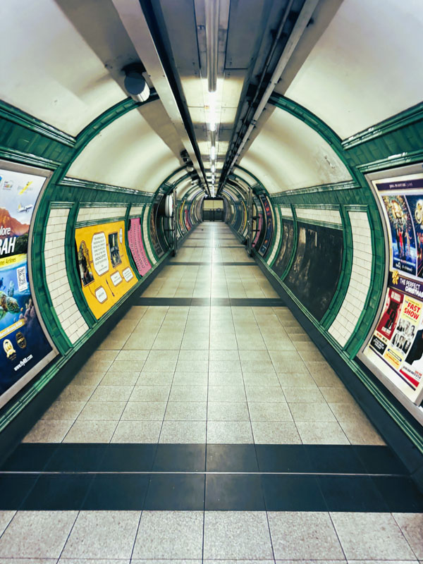 William, Ringwood School