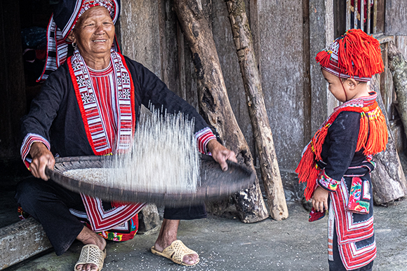Well Done Granny, Vietnam