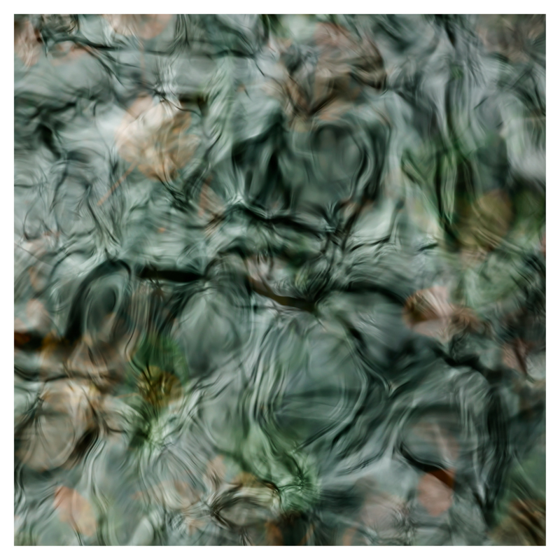 2512 Jayne Sanderson Ripple Reflections Forweb