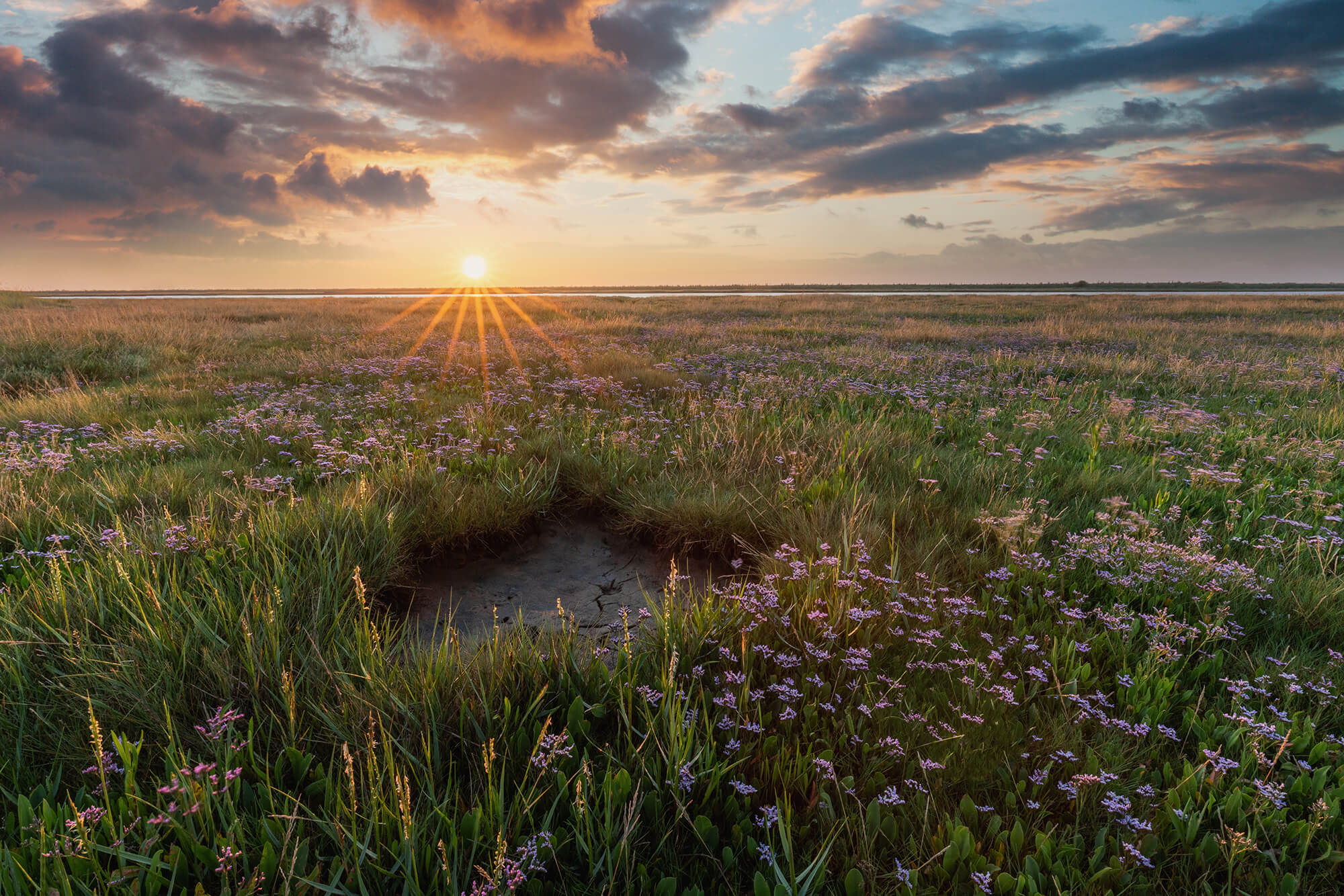 2. PS ‘Summer On The Marsh’ By Justin Minns FRPS