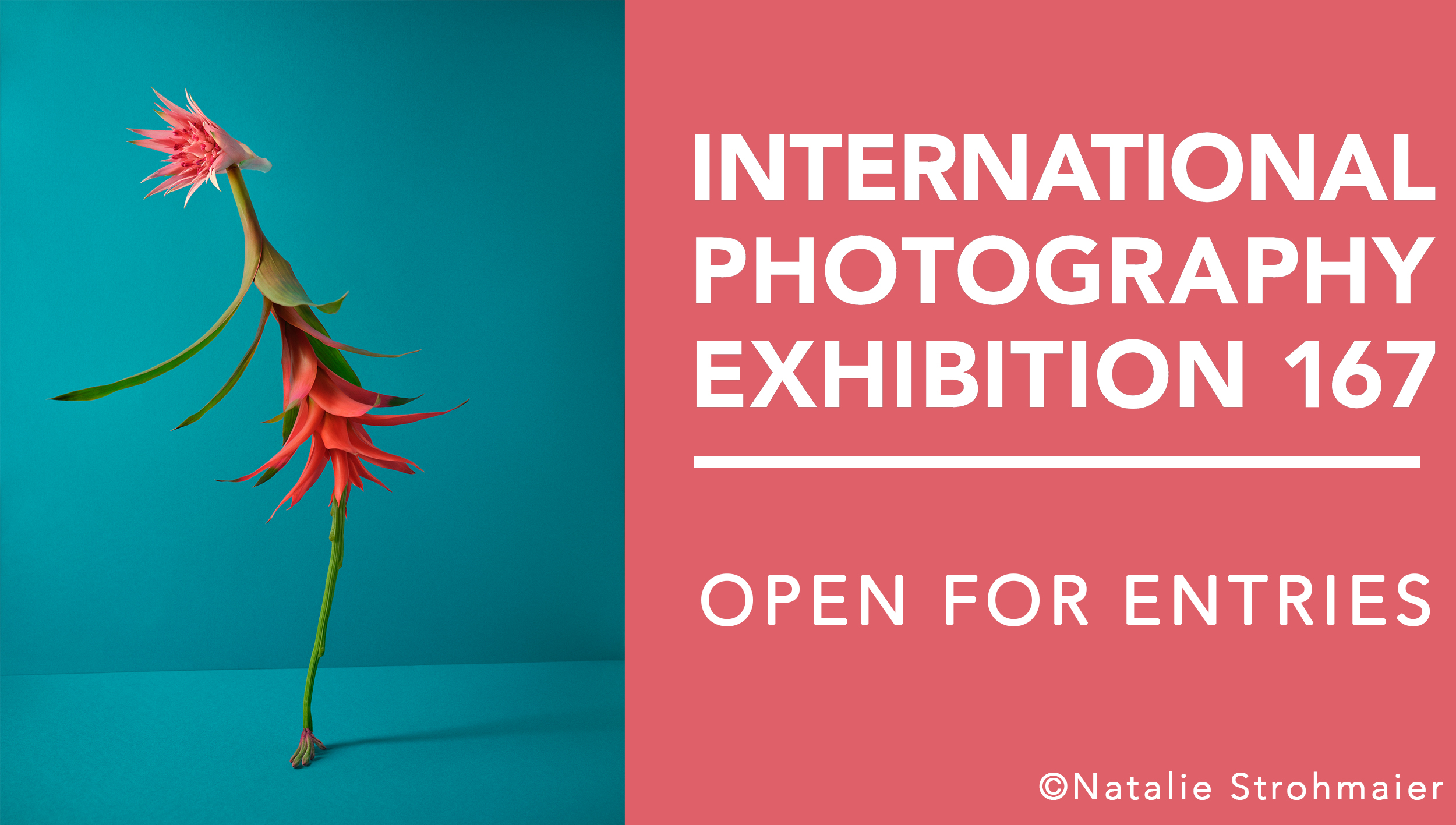 IPE167 Homepage Tile 2