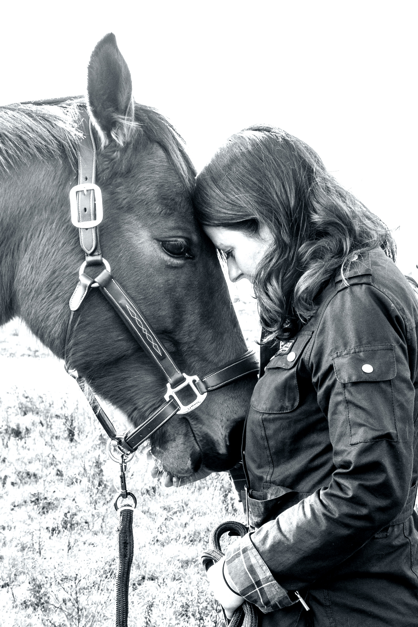 Joy Morrissey MP By Dee Robinson