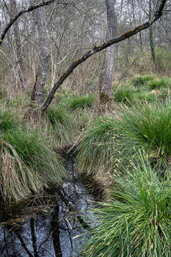 Gerry Phillipson ARPS Card 06