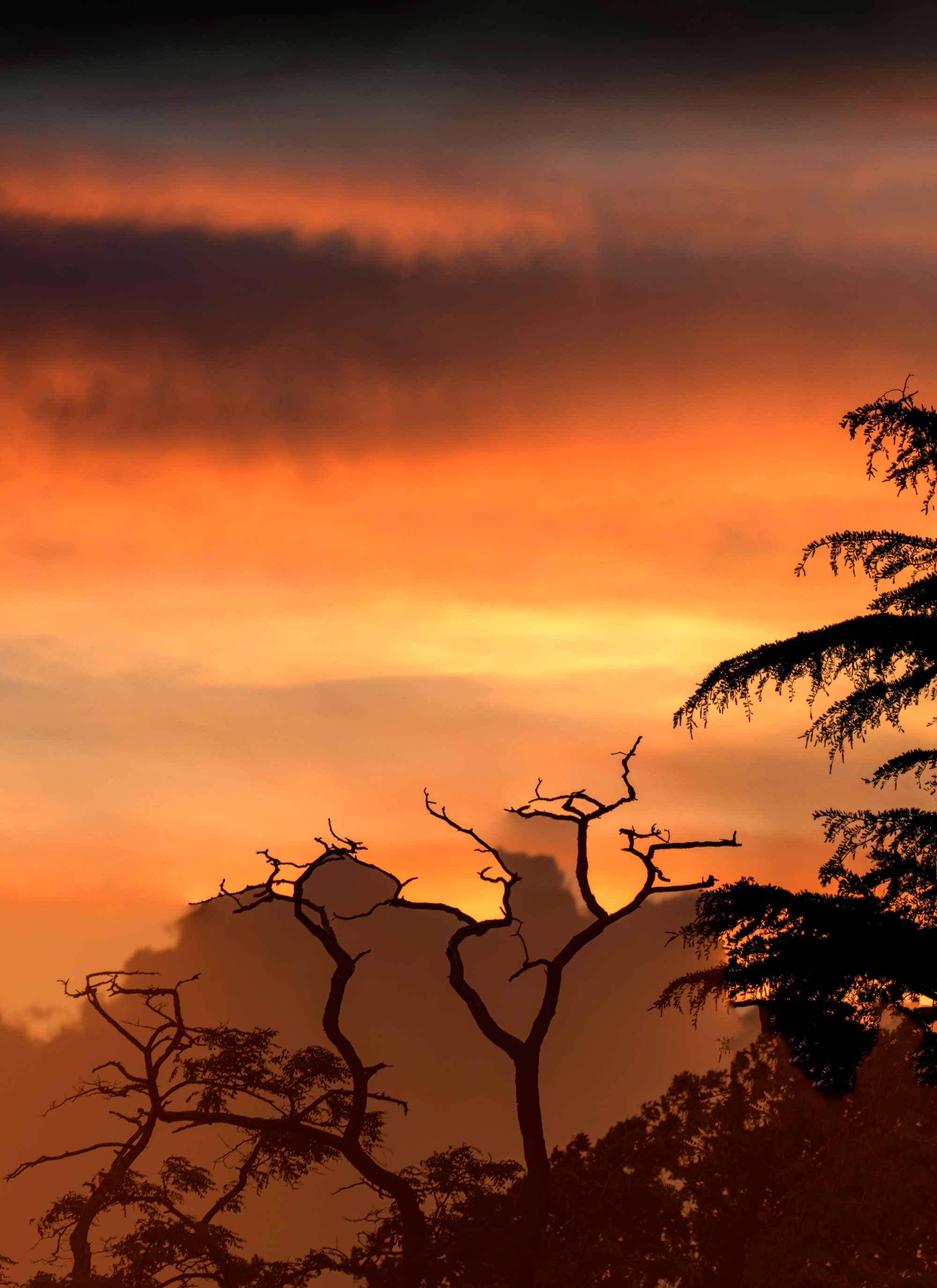 Heat By Esther Serrano