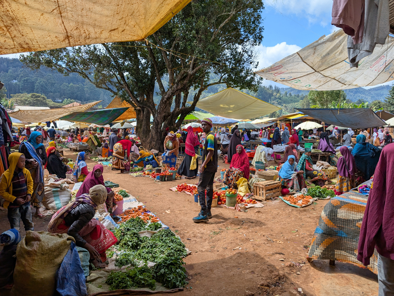 Kristian, Ringwood School