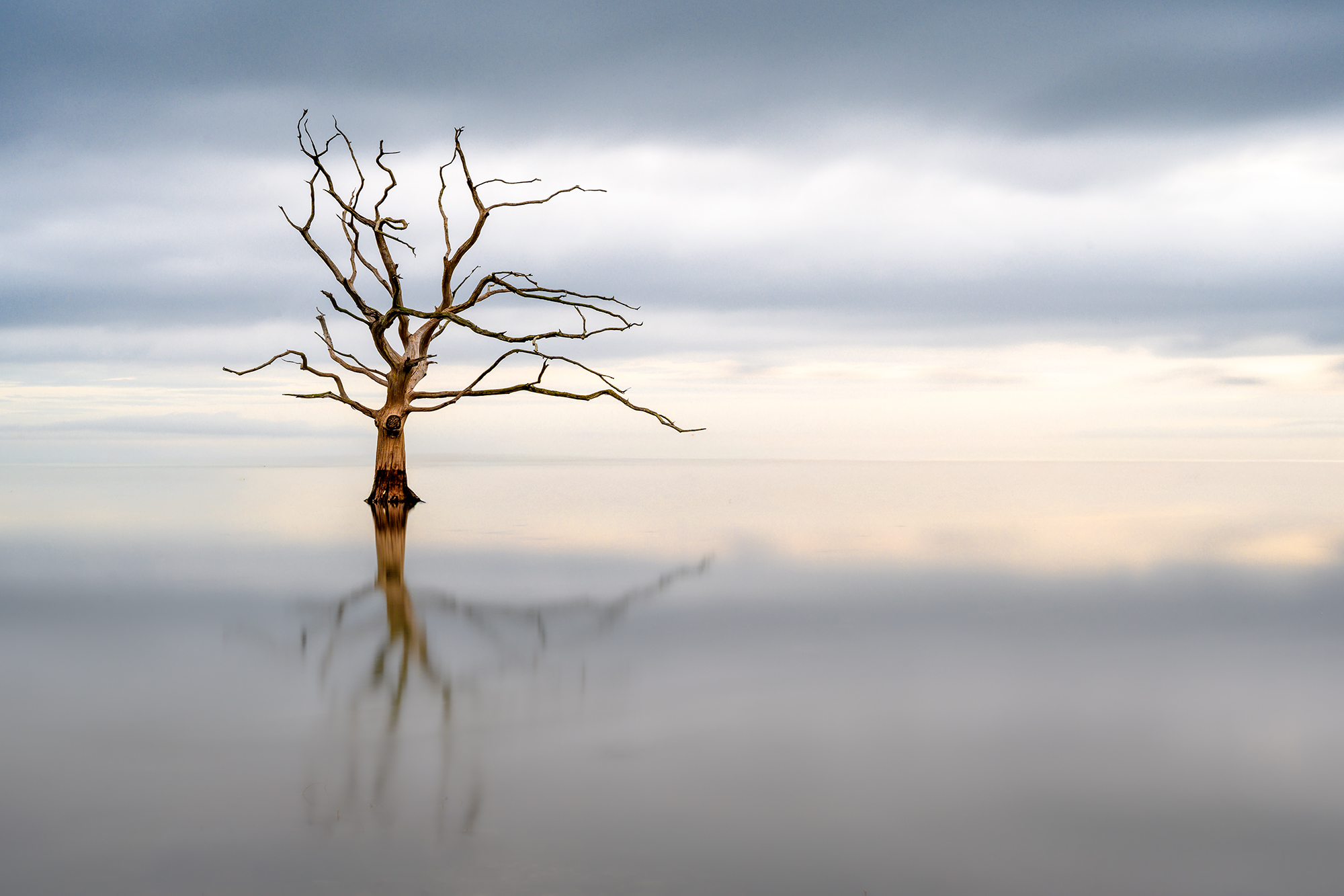 1st Place – Encircled by the Tide by Mike Murphy