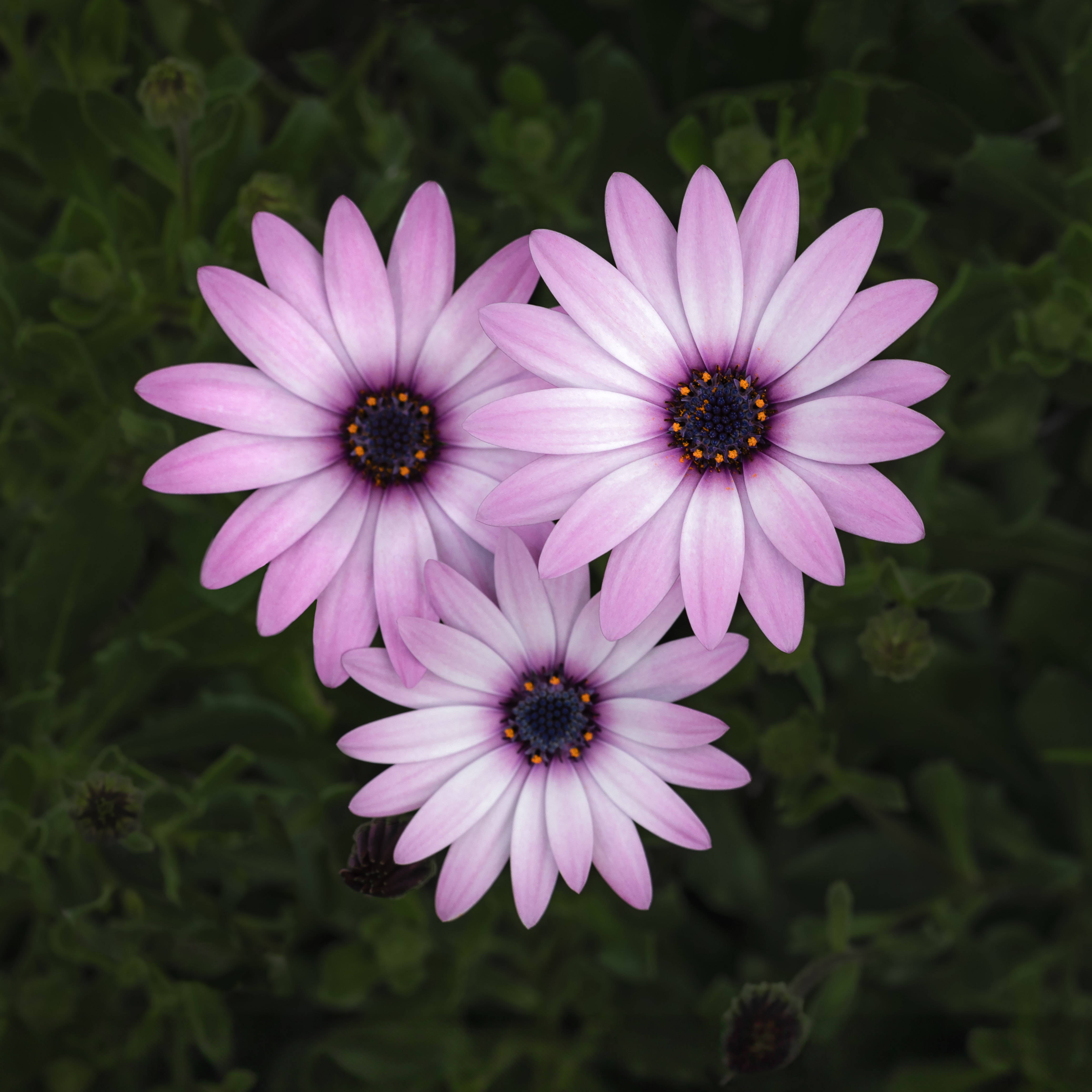 RPS Licentiate Presentation Panel 04