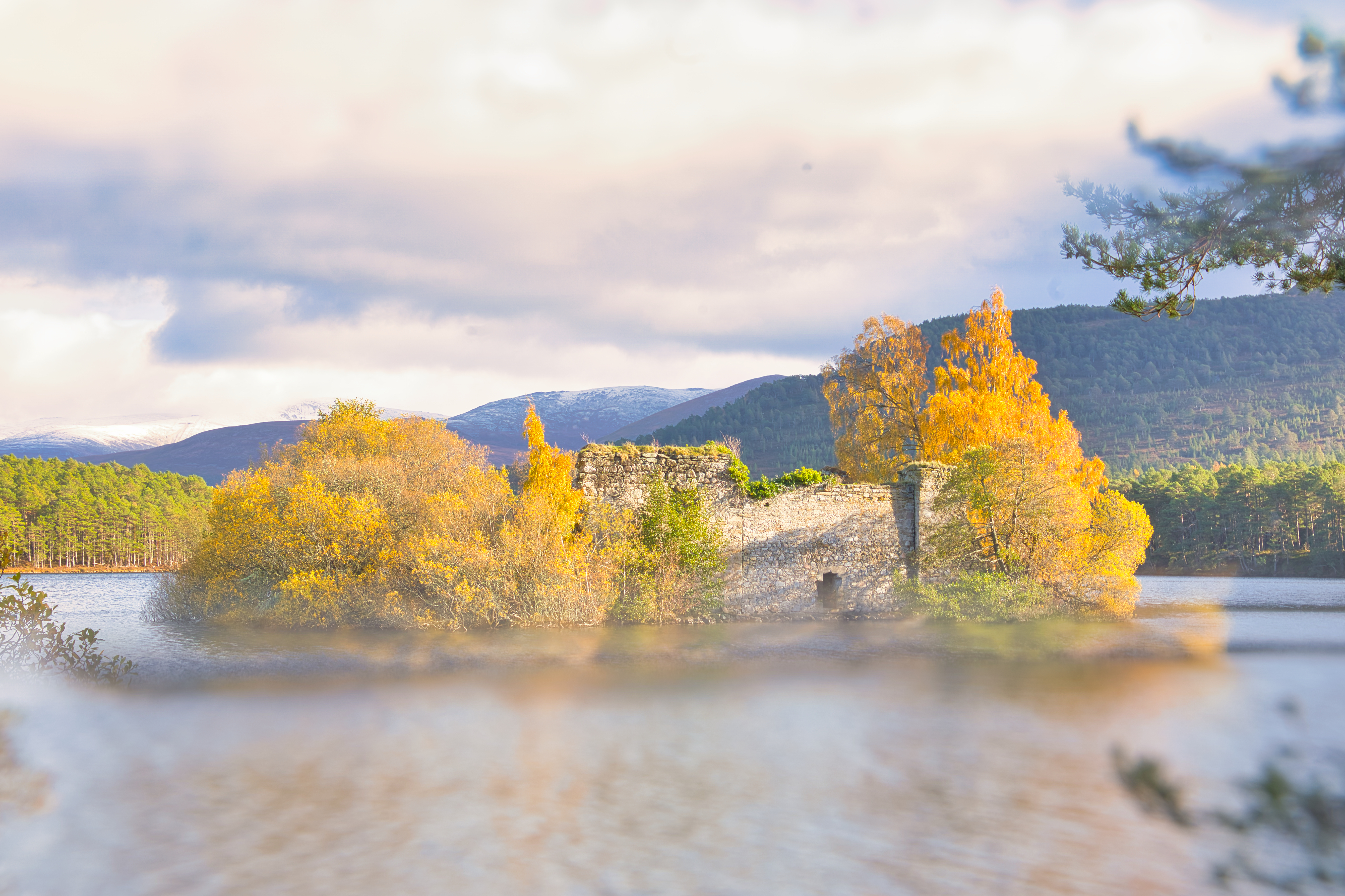 Split - Samantha Dearlove