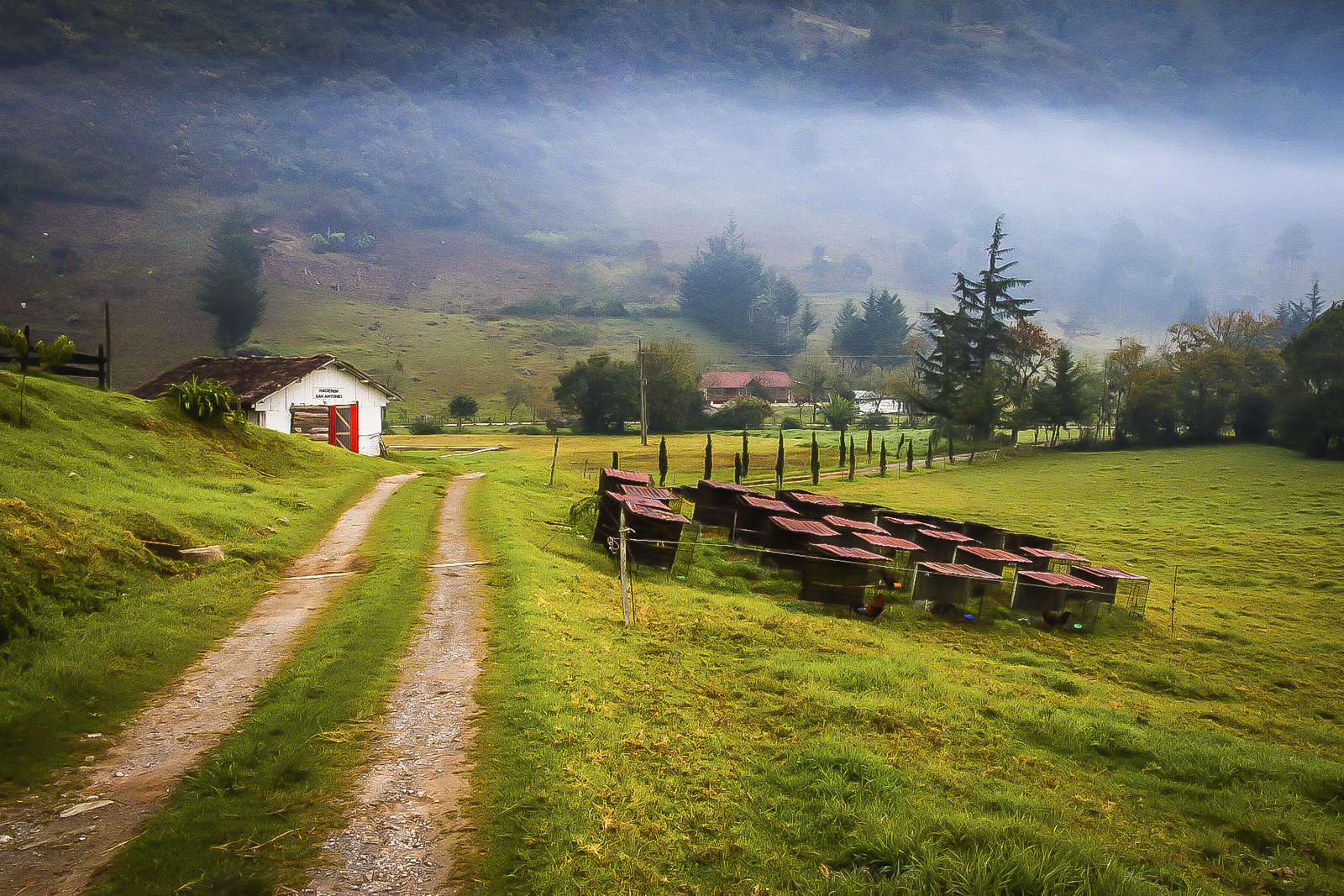 Farm track -Guatemala