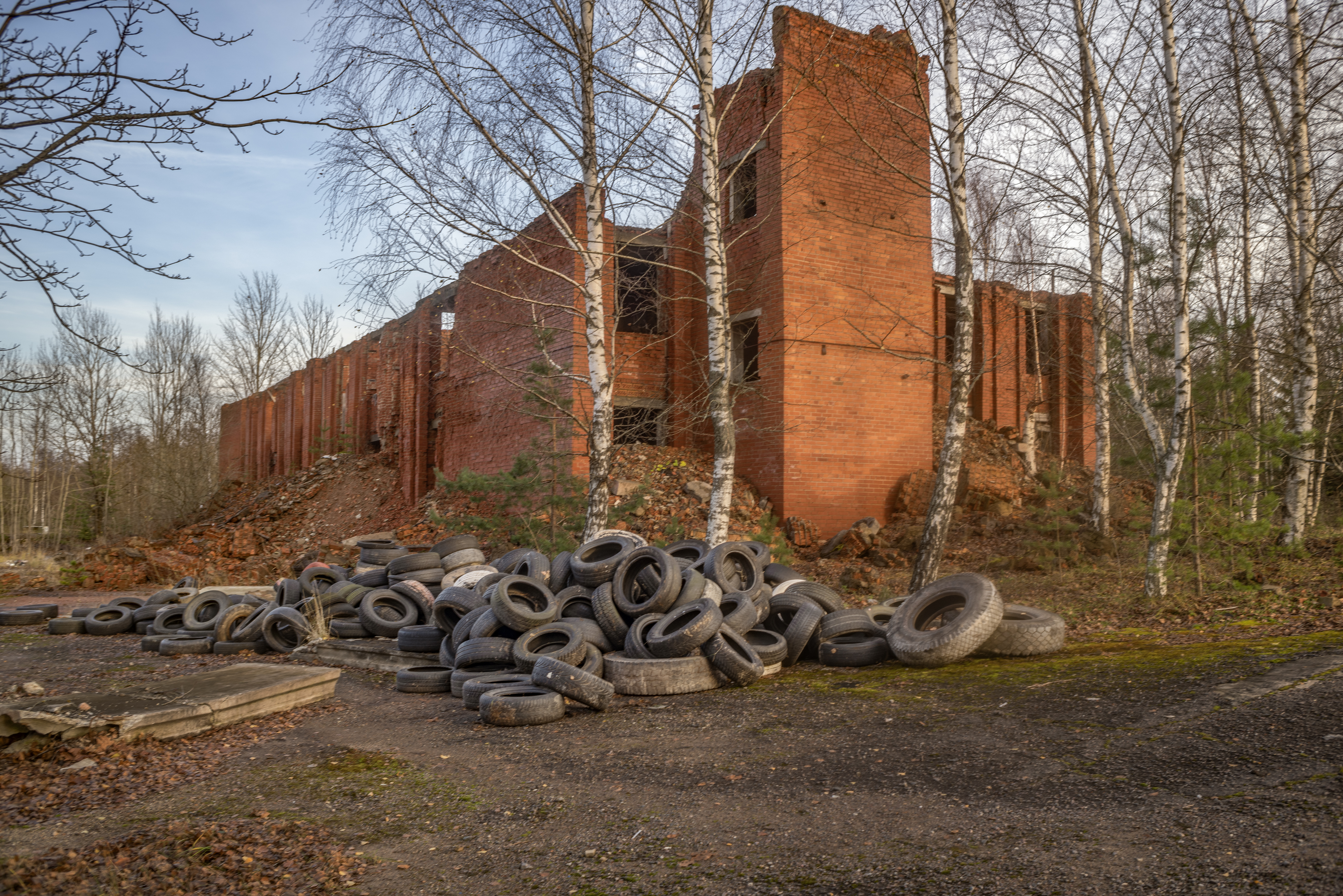 Pprashant Radioactive Butterfly 7