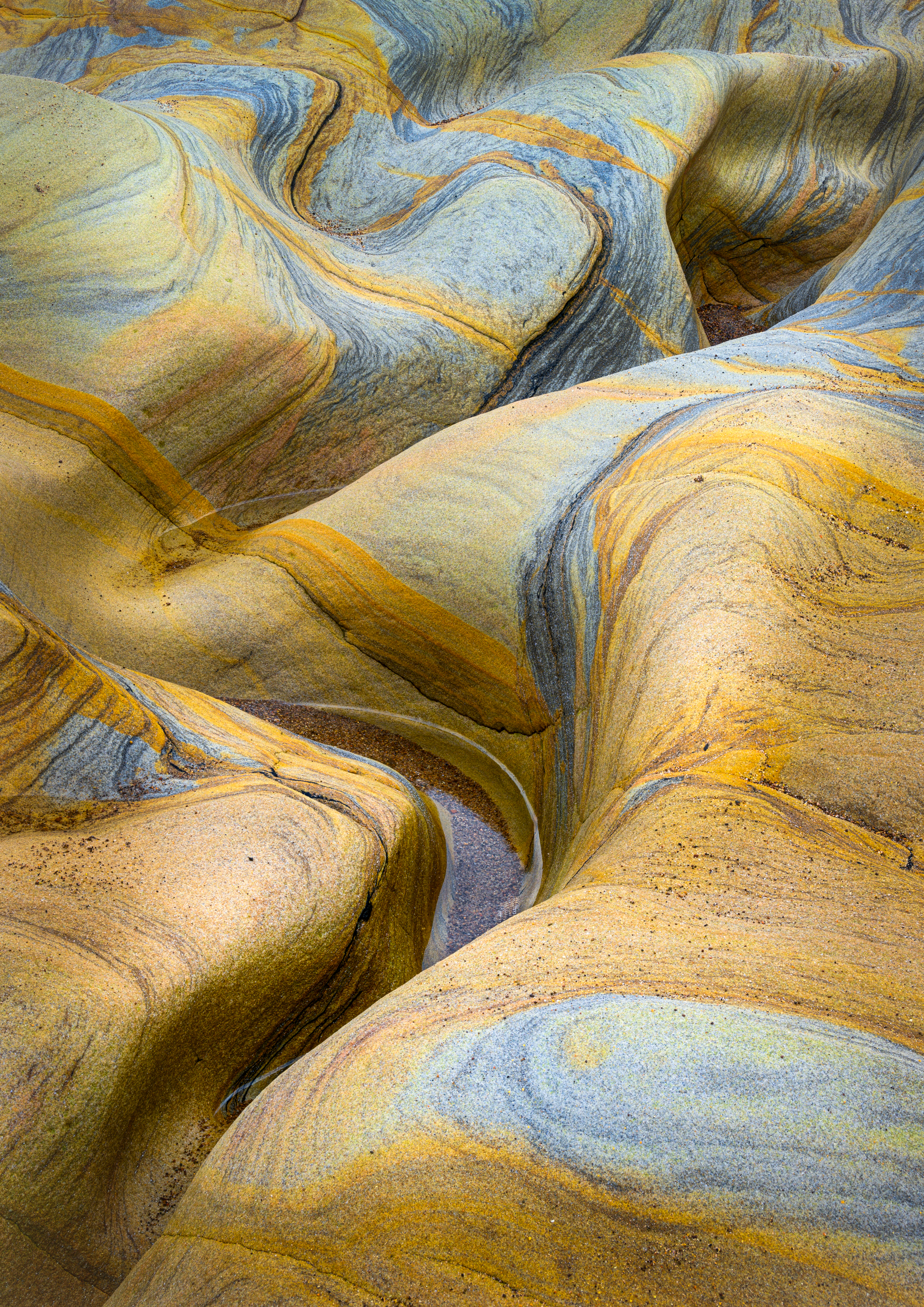 Spittal Beach by Mike Lloyd