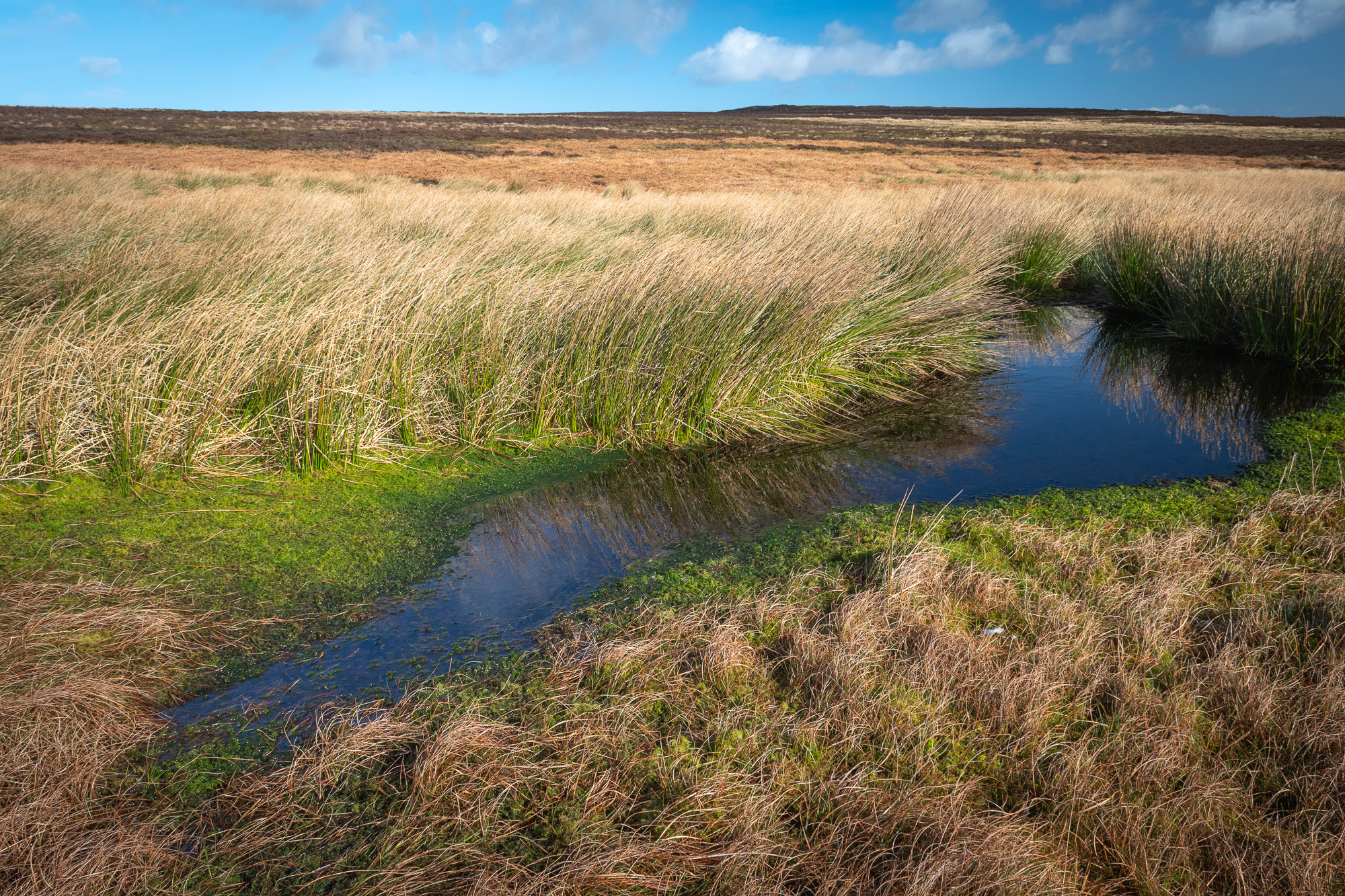 54N 2W Yorkshire by David Berry