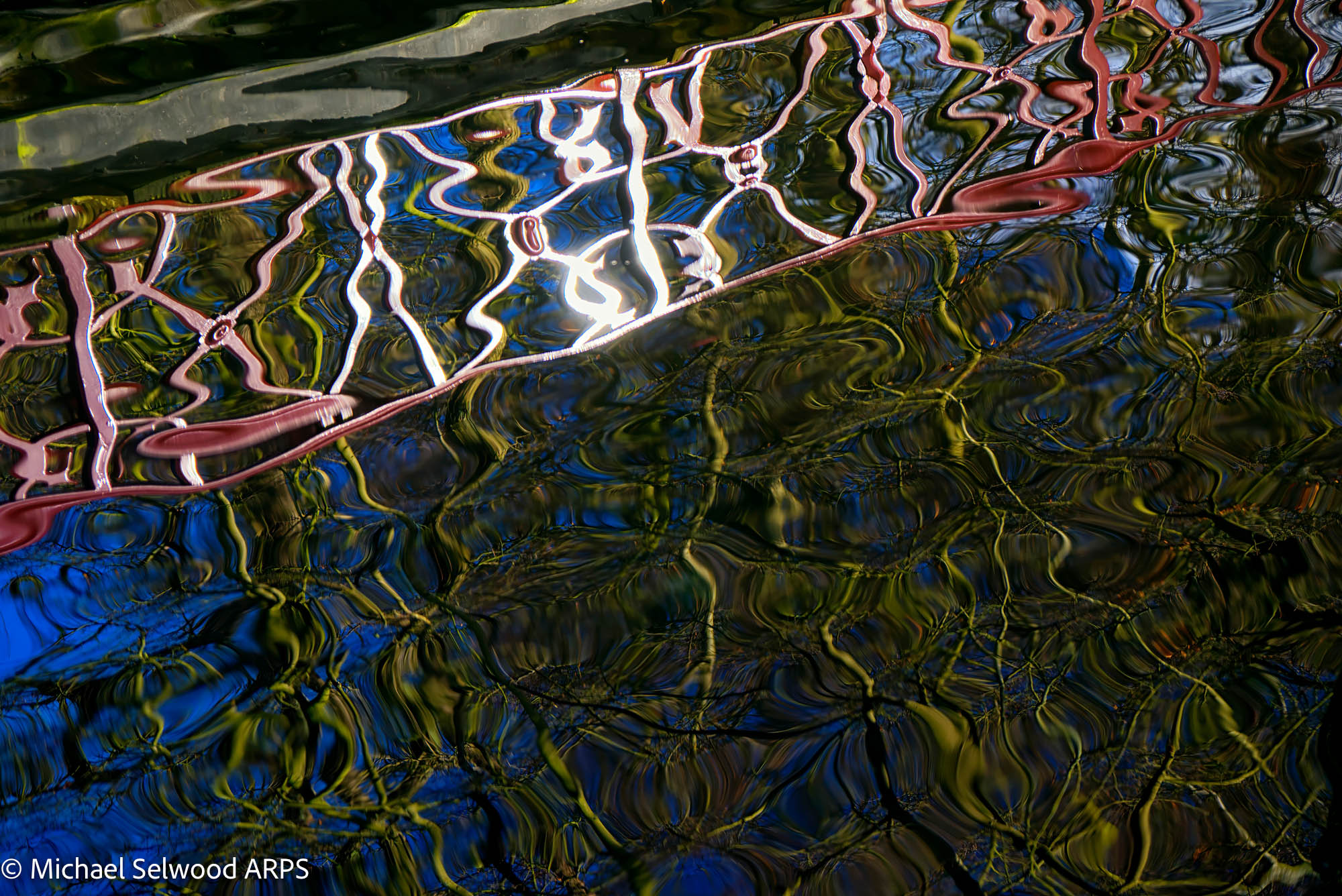 18 Michael Selwood ARPS 02 Shimmy Like My Sister