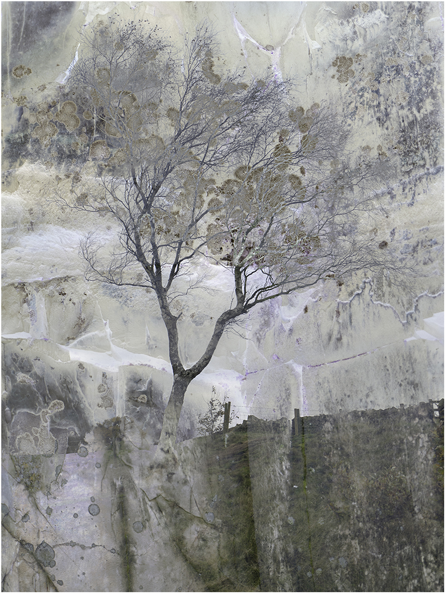 S Linda Beacon Hill By Nick Linnett