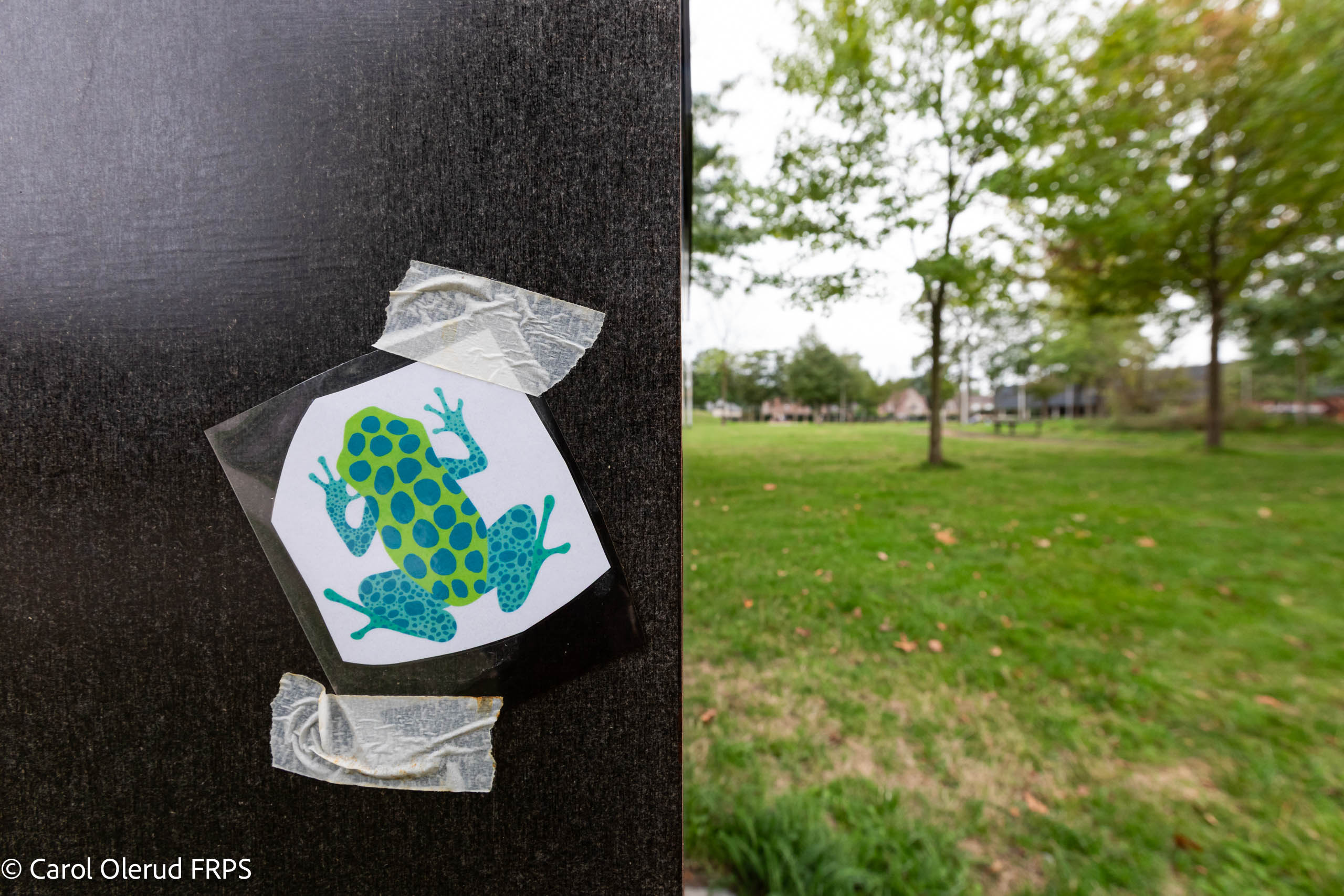 Traces Of People In Pelt © Carol Olerud FRPS 6