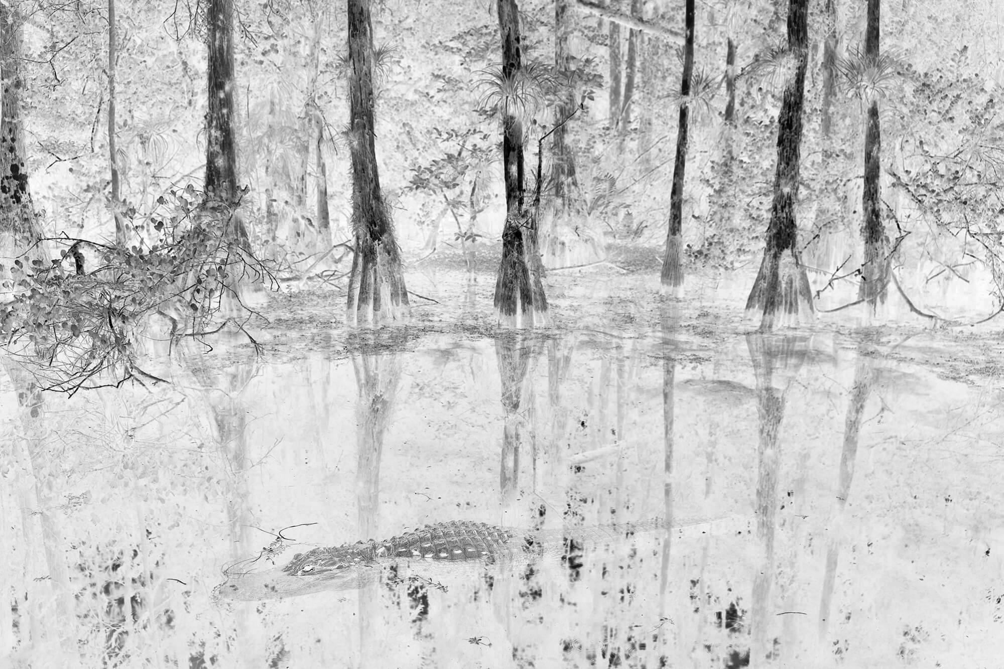 'Loop Road' From The Series Afterimages By Itmar Freed