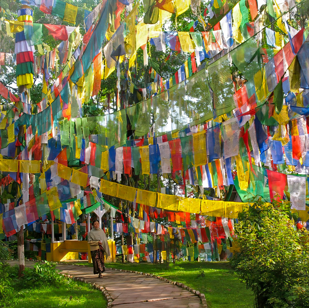 Temple Walk, Darjeeling by Marylyn Adams