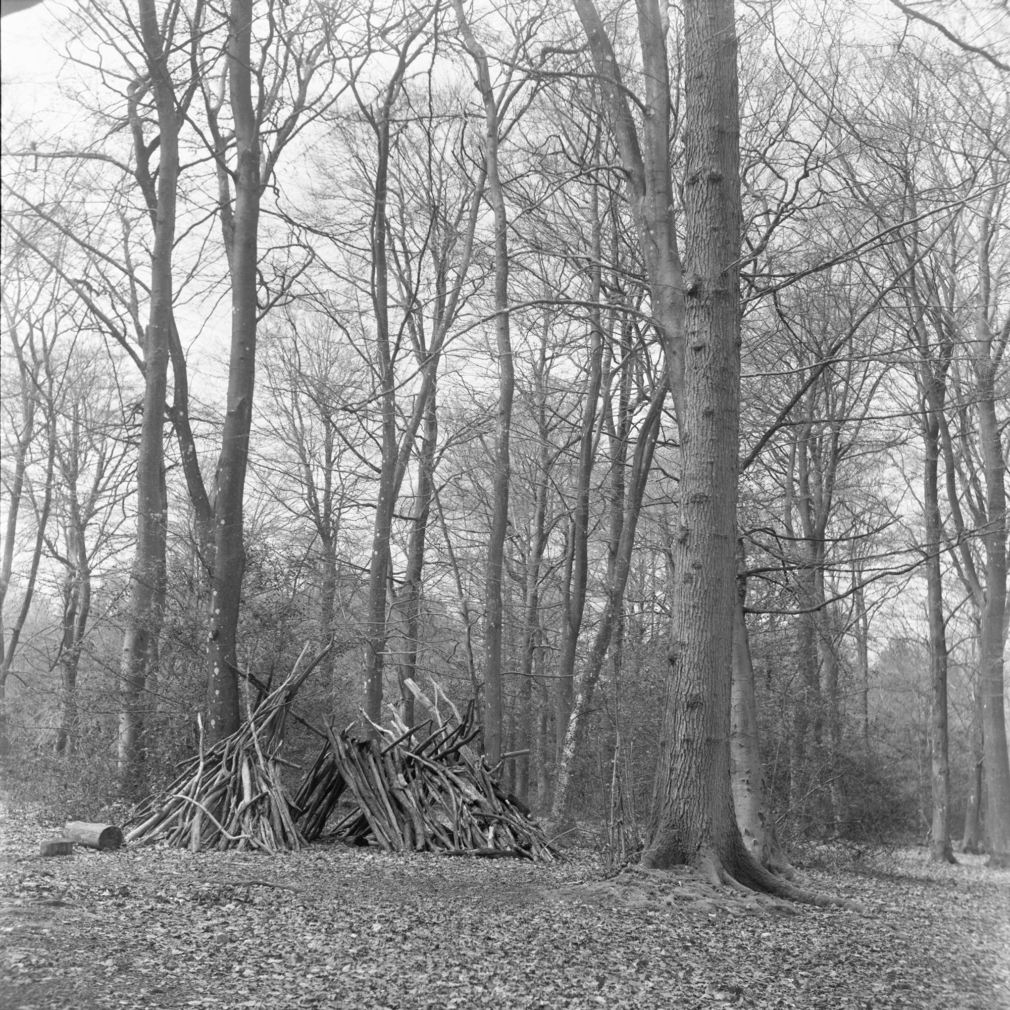 5575275 Corinne Whitehouse Corinne Whitehouse Renaturing 4