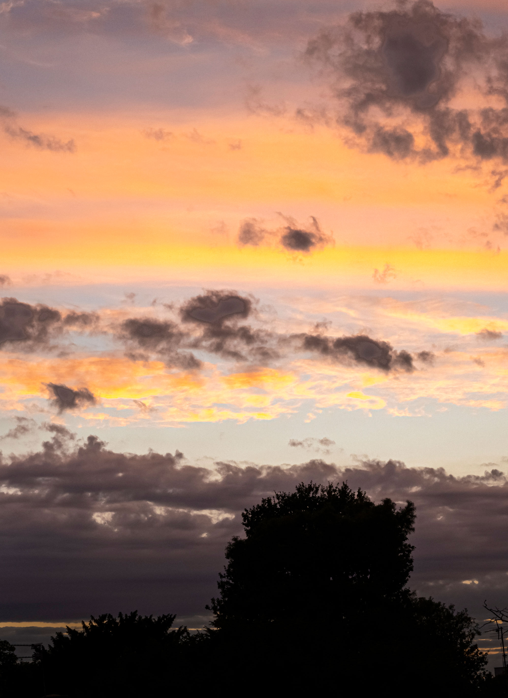 Summer By Esther Serrano