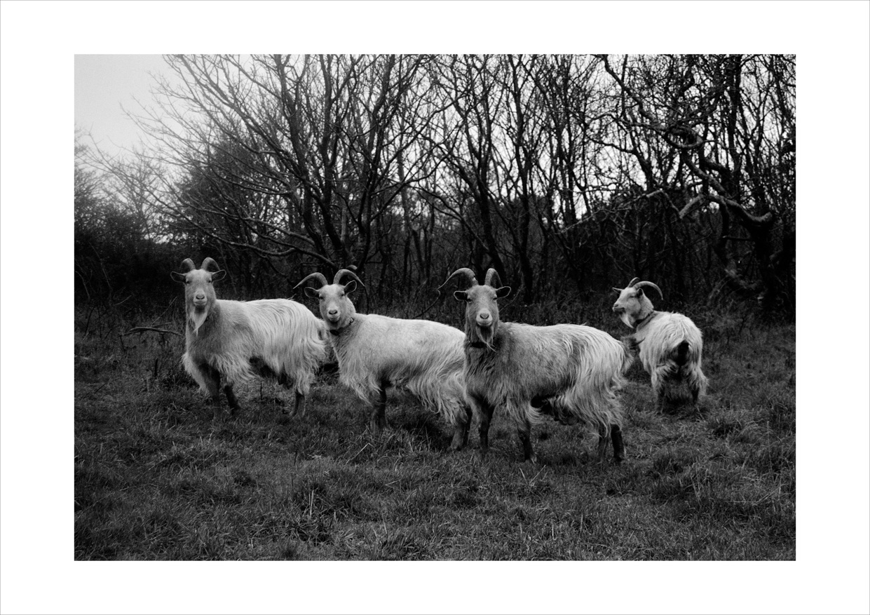 11 A3 Landscape Border 300Dpi B W