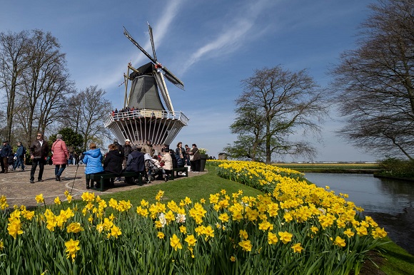 Keukenhopf Garden, Netherlands