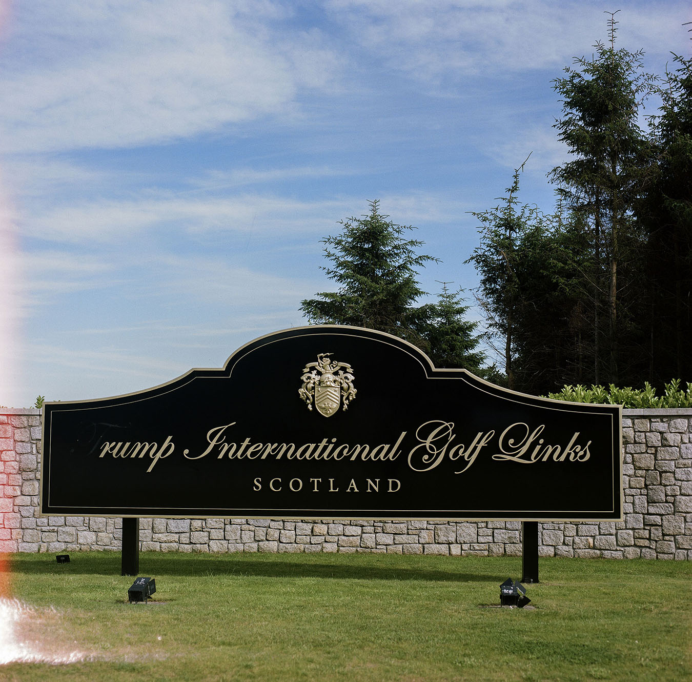 Aliciabrucemeniedaylight (18)