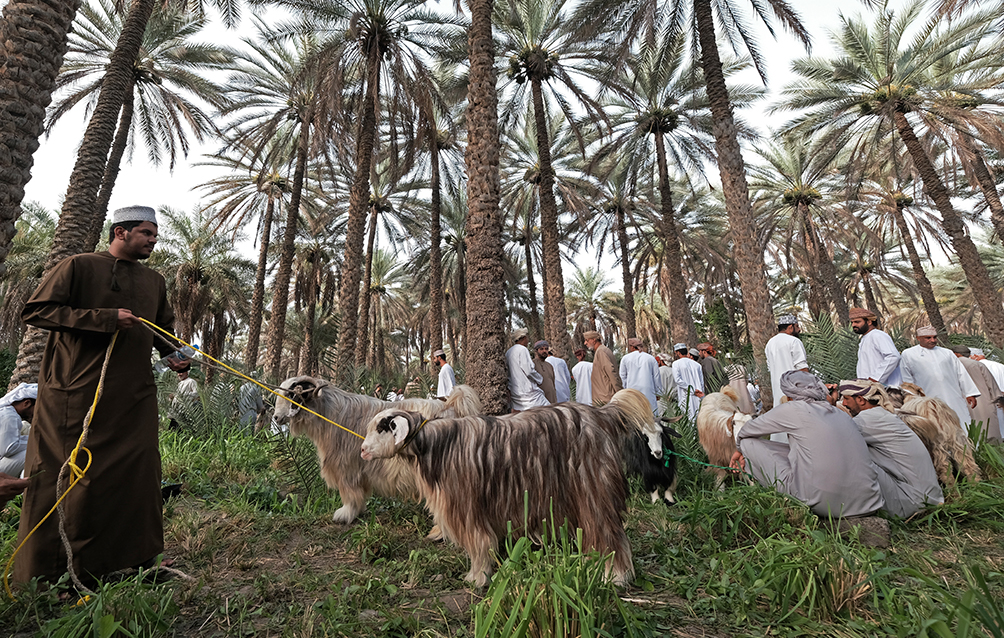 Eid Habta, Suroor, Oman by Sanjoy Sengupta