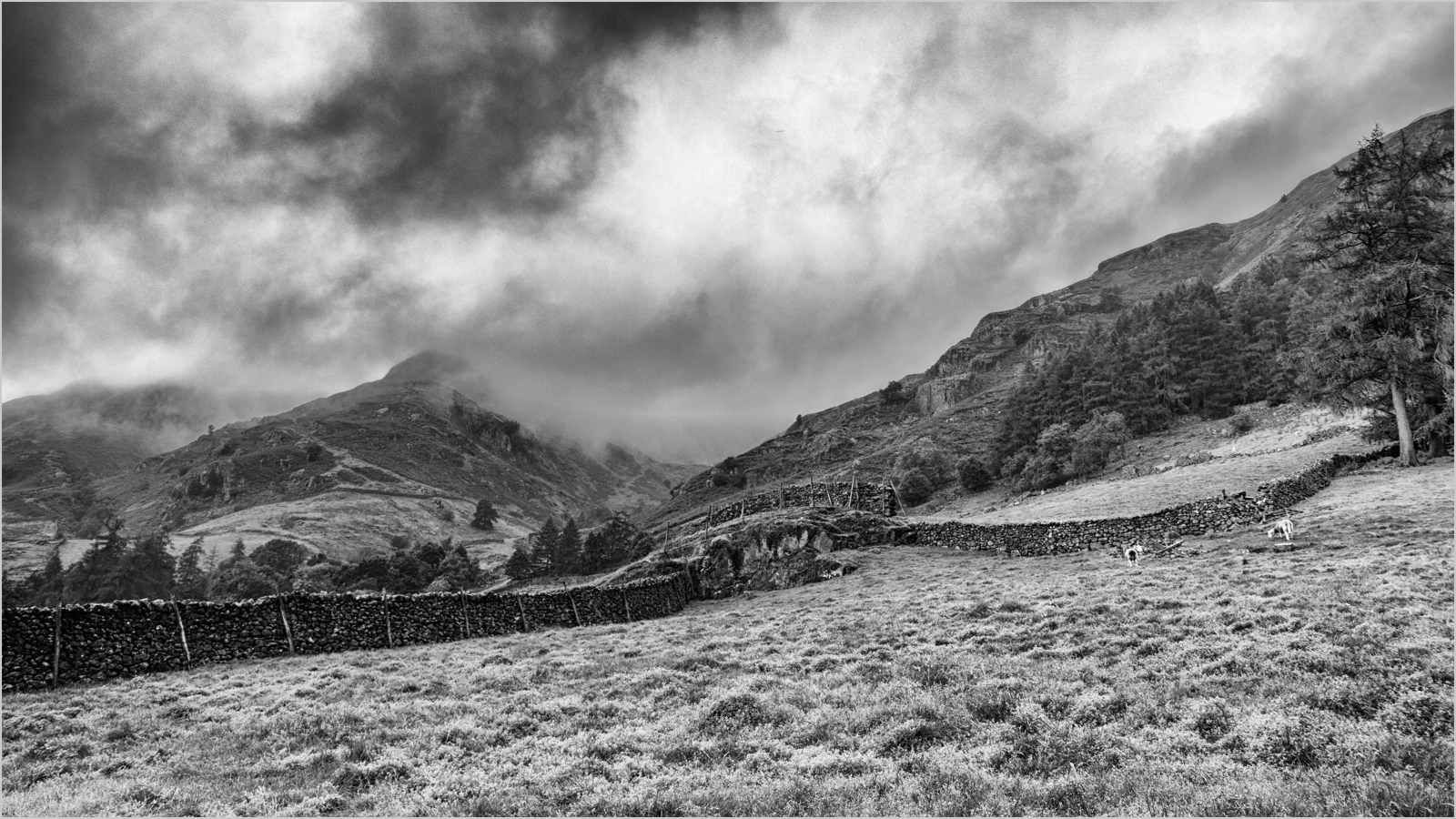 The Approaching Storm by David Ryland ARPS