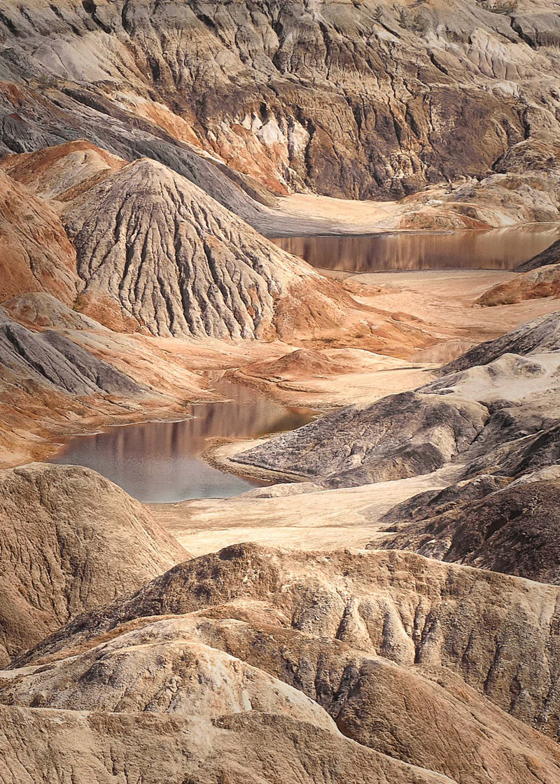 1171 The Planet As Our Grandchildren Will See It By Elena Berseneva