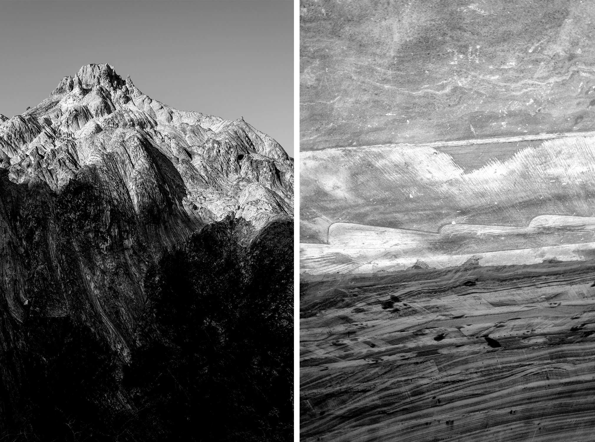 Born Of The Best Parents Comp 02