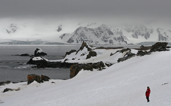 Arrival In Antarctica