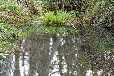 Gerry Phillipson ARPS Card 04