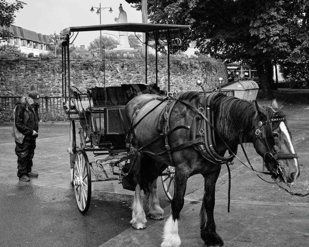Wet Day, No Takers, Killarney, County Kerry by Chris Morson